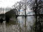 Hochwasser am Rhein